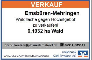 Immobilie kaufen in 48488 Emsbüren, Landwirtschaftliches Objekt in Emsbüren