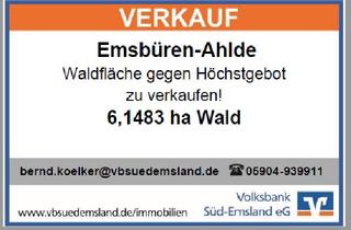 Immobilie kaufen in 48488 Emsbüren, Landwirtschaftliches Objekt in Emsbüren
