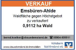 Immobilie kaufen in 48488 Emsbüren, Landwirtschaftliches Objekt in Emsbüren