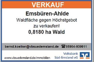 Immobilie kaufen in 48488 Emsbüren, Landwirtschaftliches Objekt in Emsbüren