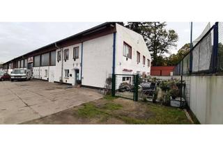 Geschäftslokal mieten in Schwedter Str. 36, 16278 Angermünde, Ladengeschäft