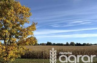 Gewerbeimmobilie kaufen in 16792 Zehdenick, Mehr als 5 ha Ackerfläche bei Zehdenick - LK Oberhavel - 60 km nördlich von Berlin zu verkaufen