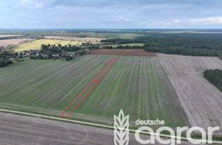 Gewerbeimmobilie kaufen in 03205 Bronkow, Kleiner Acker für Jedermann (ca. 0,4 ha) nordwestlich von Großräschen - ohne GrdStVG!