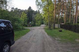 Gewerbeimmobilie kaufen in 14822 Borkwalde, Waldgrundstück, noch kein Baugebiet!!!