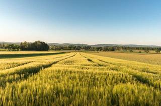 Gewerbeimmobilie kaufen in 94345 Aholfing, Grund und Boden - auch gegen Rückpacht möglich!