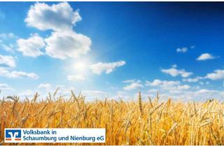 Gewerbeimmobilie kaufen in 31595 Steyerberg, 1,25 ha Ackerfläche in Pennigsehl-Mainsche zu verkaufen