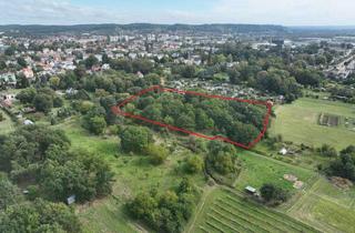 Gewerbeimmobilie kaufen in 01640 Coswig, Eichenwald als Erstaufforstung (ca. 0,9 ha) in Coswig bei Dresden