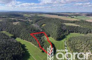 Gewerbeimmobilie kaufen in 07407 Remda-Teichel, Waldfläche bestehend aus Laub- und Nadelbäumen sowie Grünland (ca. 3,6 ha) bei Rudolstadt