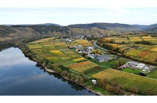 Gewerbeimmobilie kaufen in 56862 Pünderich, Voll erschlossenes Baugrundstück mit Genehmigung für eine PV-Anlage im Gewerbegebiet von Pünderich