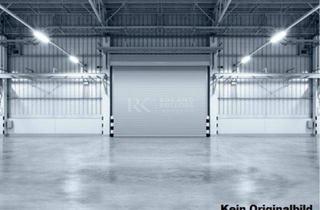 Geschäftslokal mieten in 24837 Schleswig, Lager mit Freifläche in Schleswig zu vermieten – sanierungsbedürftiger Zustand