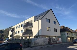 Wohnung mieten in Marktstraße 11, 86424 Dinkelscherben, Erstbezug: Hochwertig ausgestattete altersgerechte, barrierefreie 2-Zimmer Dachgeschosswohnung