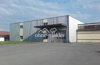 Büro zu mieten in 88471 Laupheim, Moderne Lagerhalle, Bj.2004,2000m², 2- geschossig mit Aufzug, Rolltor und Schleuse für Be-Entladung