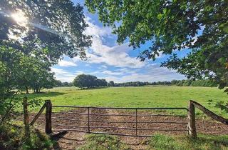 Haus kaufen in 23867 Sülfeld, Ihr privater Rückzugsort mitten im Grünen! Idyllischer Landwohnsitz auf weitläufigem Grundstück...