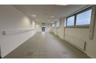 Gewerbeimmobilie mieten in 61191 Rosbach, Gewerbeimmobilie für Labor, Lager und / oder kleine Produktion