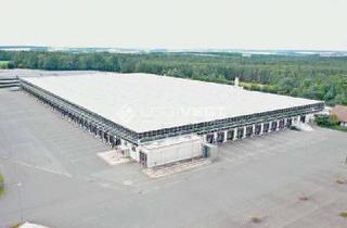 Gewerbeimmobilie mieten in 07957 Langenwetzendorf, VIELE RAMPEN! Multiuserhalle mit 24/7 zur Lagerung und Produktion