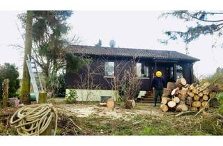 Grundstück zu kaufen in Arme Reihe 73 a, 38375 Räbke, Baureifes Grundstück mit großem Garten inklusive kleinem Haus in Räbke, maklerfrei zu verkaufen