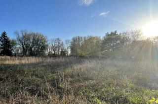 Grundstück zu kaufen in 23923 Lüdersdorf, Schönes Wohngrundstück vor den Toren von Lübeck in Lüdersdorf