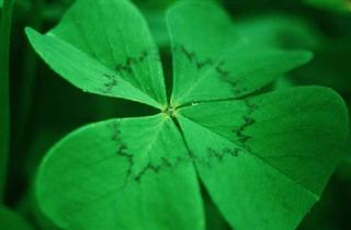 Grundstück zu kaufen in 96260 Weismain, Gelegenheit in Weismain