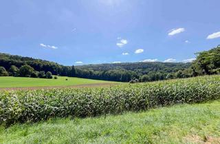 Einfamilienhaus kaufen in 92348 Berg, Ihr Rückzugsort im Grünen – Gestalten Sie Ihr Traumhaus in idyllischer Lage