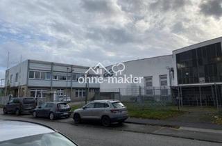 Büro zu mieten in Weichselstraße 2-6, 23554 Lübeck, 638 qm Büro- u. Sozialräume + 430 qm Kaltlagerhalle