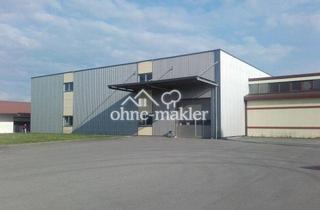 Geschäftslokal mieten in Uhlmannstrasse 42, 88471 Laupheim, Moderne Lagerhalle, Bj.2004,2000m², 2- geschossig mit Aufzug, Rolltor und Schleuse für Be-Entladung