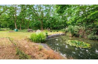 Haus kaufen in 39317 Parey, Elbe-Parey - Privatsphäre pur: Idyllisches Anwesen in Alleinlage - 6.500 m² Grundstück & 198 m² Wohnhaus