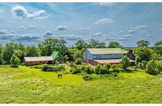 Haus kaufen in Krützfleth 3, 25554 Neuendorf-Sachsenbande, Neuendorf-Sachsenbande / Sachsenbande - Resthof bei Wilster - Viel Platz für Mensch und Tier