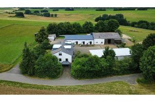 Haus kaufen in 54552 Mehren, Mehren - Wunderschöner Pferdehof, AlleinlageVulkaneifelNähe Nurburgring