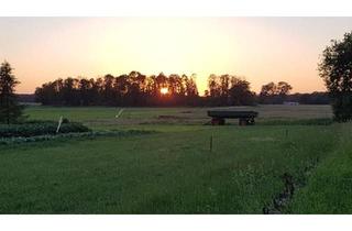 Haus kaufen in 19300 Grabow, Grabow - Kleine Ferienanlage mit großem Grundstück in ruhiger Lage