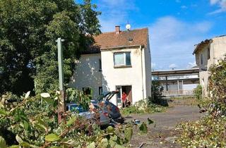 Haus kaufen in 06628 Lanitz-Hassel-Tal, Lanitz-Hassel-Tal - 2 Familienhaus mit Nebengebäude in Wurzen, stark renovierun