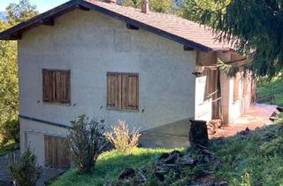 Einfamilienhaus kaufen in 79761 Waldshut-Tiengen, Waldshut-Tiengen - Einfamilienhaus in wunderbarer Lage am Comer See mit viel Land