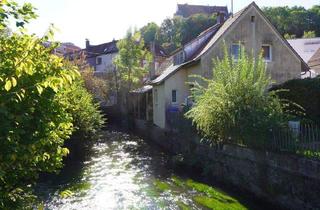 Haus kaufen in 88447 Warthausen, Warthausen - Kleines Haus mit Werkstatt in Warthausen