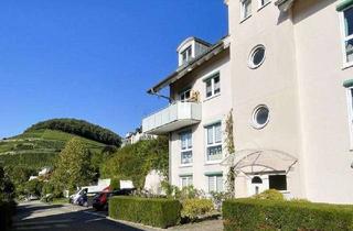 Wohnung kaufen in 79295 Sulzburg, Wohnen mit Weitblick