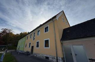 Wohnung kaufen in 92237 Sulzbach-Rosenberg, Top sanierte 2-Zimmer-Wohnung mit Solaranlage, Gartenanteil & Kellerabteil - sofort bezugsfrei