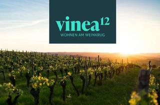 Wohnung kaufen in 97337 Dettelbach, Vinea12 - Wohnen am Weinkrug