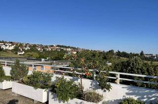 Penthouse mieten in 70794 Filderstadt, Traumhafte Penthousewohnung mit 130 m² Rundum-Terrasse in Filderstadt-Bonlanden