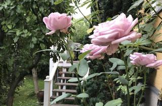 Wohnung mieten in 14467 Berliner Vorstadt, Teilmöblierte 2-Raumwohnung mit großer Terrasse
