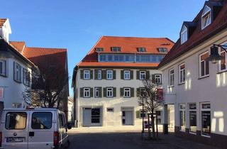 Wohnung mieten in 72336 Balingen, Lichtdurchflutete 3-Zimmer-Wohnung im ehemaligen Kameralamt