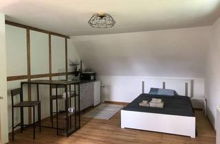 Wohnung mieten in 70825 Korntal-Münchingen, voll mobliertes Studie mit Kochnische