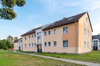 Wohnung mieten in Goerdelerstraße, 29223 Celle, In Sanierung - 4-Zimmer-Wohnung mit neuem Laminatboden in Celle Klein Hehlen!