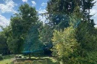 Wohnung mieten in 61250 Usingen, Erstbezug nach Kernsanierung: wunderschöne helle Drei-Zimmerwohnung im Erdgeschoß