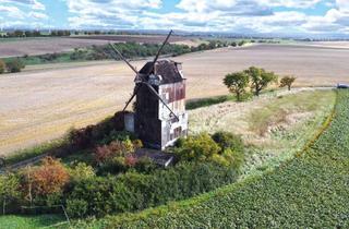 Haus kaufen in Mühlenstraße, 06268 Querfurt, Ehemalige Windmühle