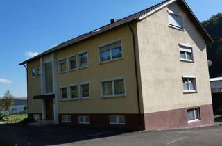 Haus kaufen in 88529 Zwiefalten, Dreifamilienhaus in Zwiefalten