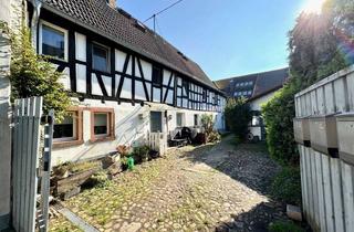 Haus kaufen in 65795 Hattersheim, Exklusive liebevoll restaurierte Hofreite im Altstadtkern