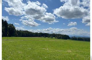 Haus kaufen in 82549 Königsdorf, Anschauen, Einziehen & Sparen! Einfamiliehaus mit WEITBLICK in idyllischer Ortsrandlage