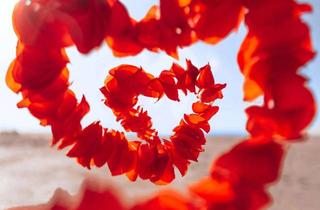 Haus kaufen in 21509 Glinde, Dein Zuhause, so individuell wie du.