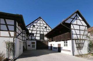 Haus kaufen in 96129 Strullendorf, Typisch fränkisch! Wohn- und Geschäftshaus mit Scheune in Strullendorf-Amlingstadt
