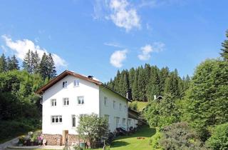 Haus kaufen in 87544 Blaichach, Sie suchen Ruhe und Abgeschiedenheit? Hier finden Sie Ihr neues Zuhause in den Allgäuer Bergen.