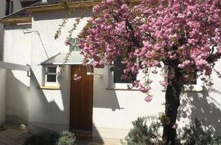 Haus mieten in 55130 Weisenau, Ideal für Zwei ! Liebevoll saniertes, freistehendes Einfamilienhaus mit Gartenhäuschen