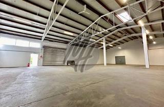 Büro zu mieten in 65719 Hofheim am Taunus, SCHNELL VERFÜGBAR ✓ Lager (2.600 m²) & Büro-/Sozial (200-450 m²)